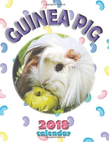 Wall Publishing Guinea Pig 2018 Calendar UK Editio