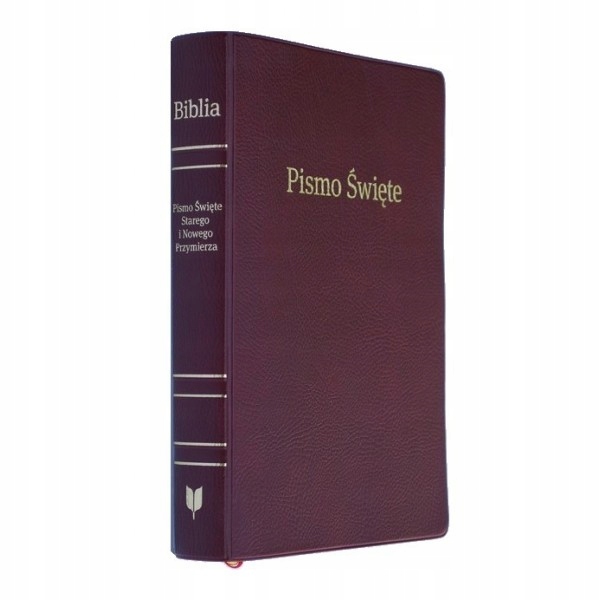 Biblia. Ewangeliczny Instytut Biblijny