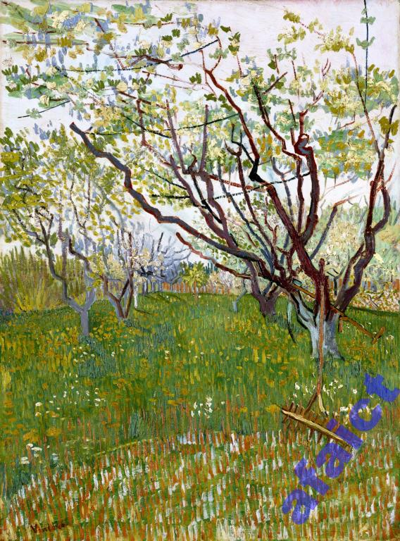 Vincent van Gogh 60x40 cm Kwitnąca wiśnia obraz
