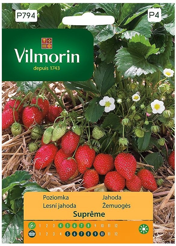 Poziomka Supreme duże owoce VILMORIN