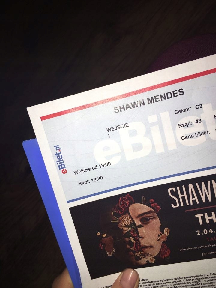 Bilet na koncert SHAWN MENDES