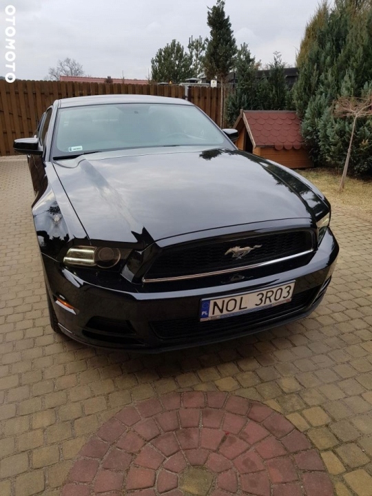 Ford Mustang 3.7 rok 2014