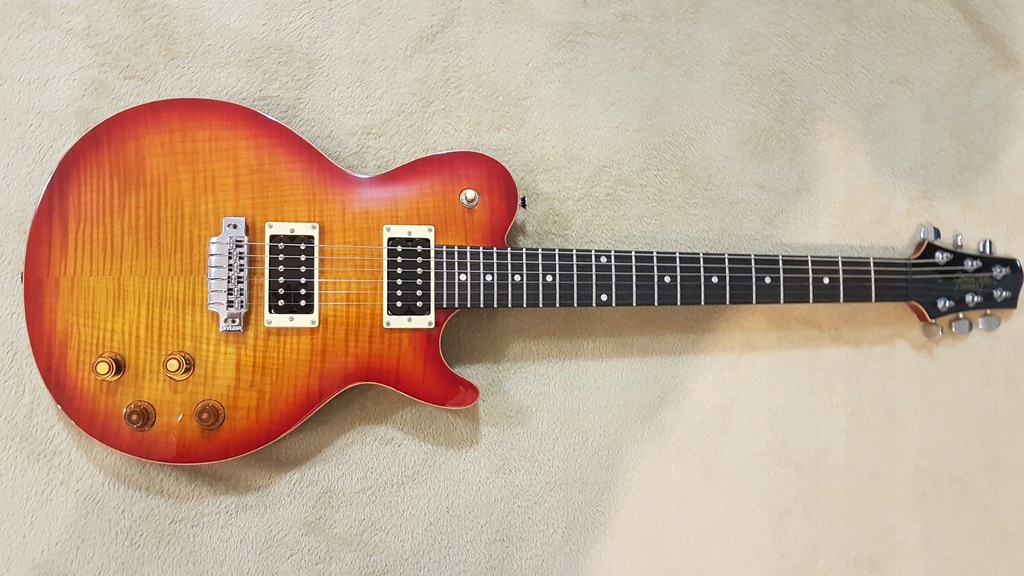 Line 6 JTV-59 James Tyler Variax 2016