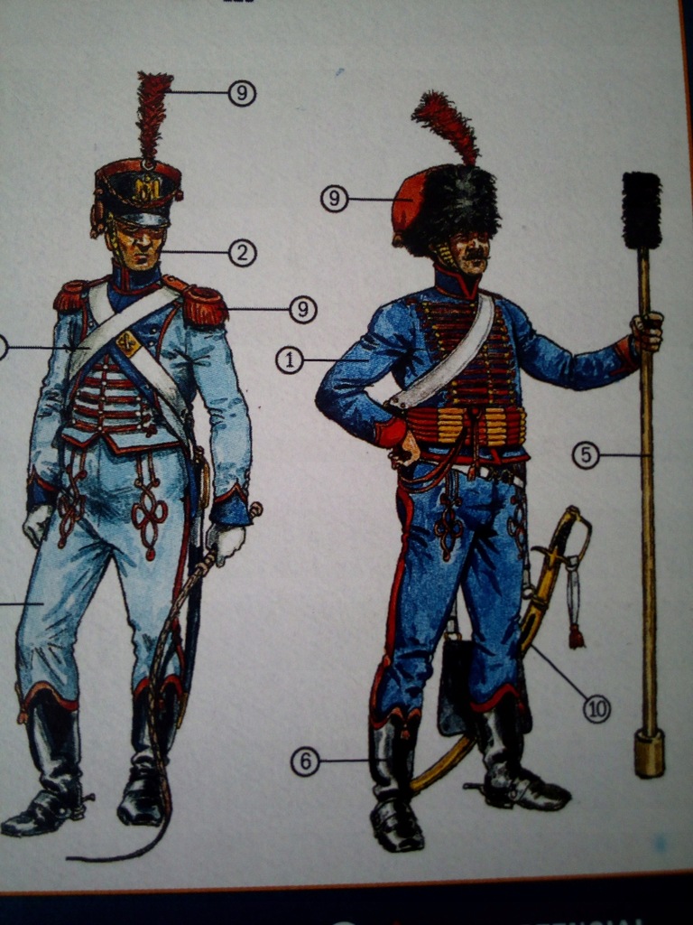 Francuska Artyleria wojny Napoleońskie