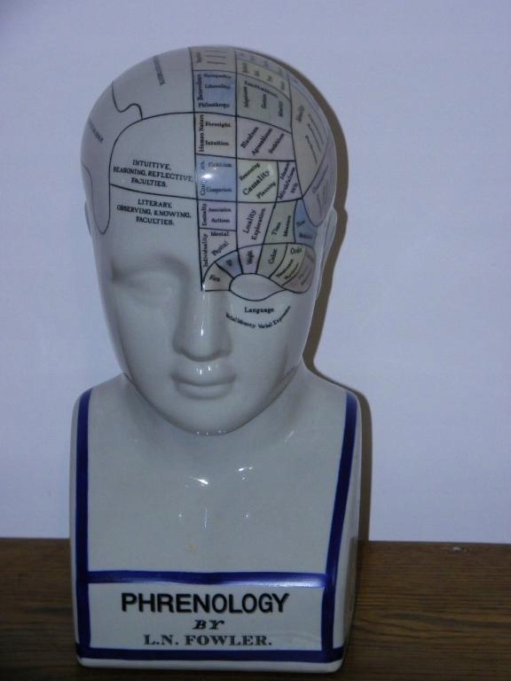 PORCELANOWA GŁOWA LEKARSKA - MAPA MÓZGU KURIOZUM