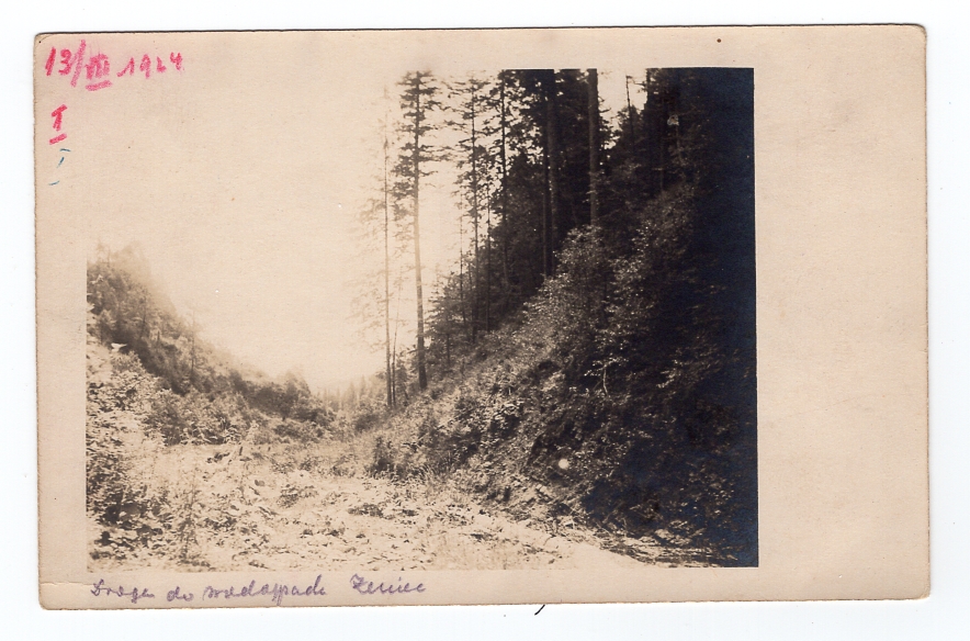 Gorgany Karpaty - Droga na Żeniec - FOTO 1924