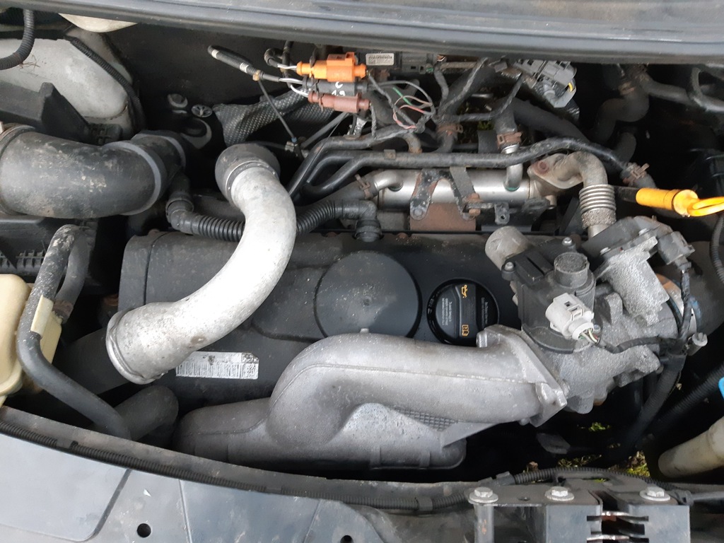 Volkswagen Transporter T5 Jaki Silnik Wybrac Break