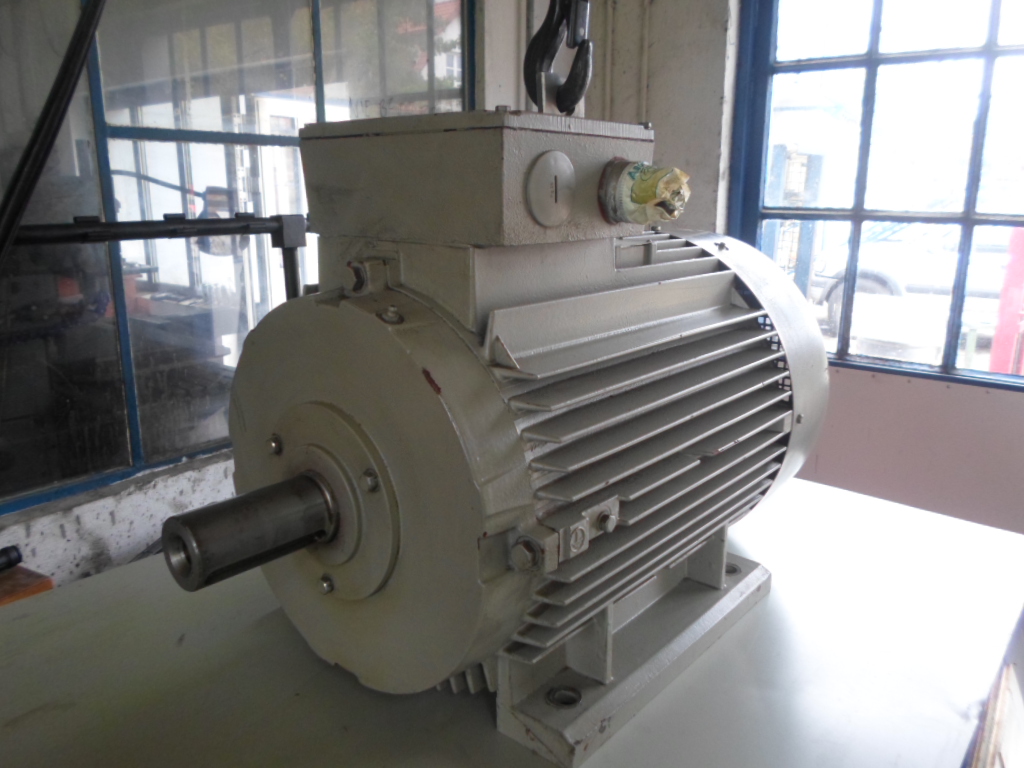 Silnik elektryczny 30 kW 2950 obr. Marki Rotor