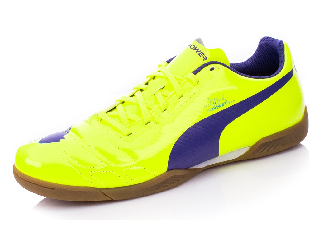 evopower 4.2