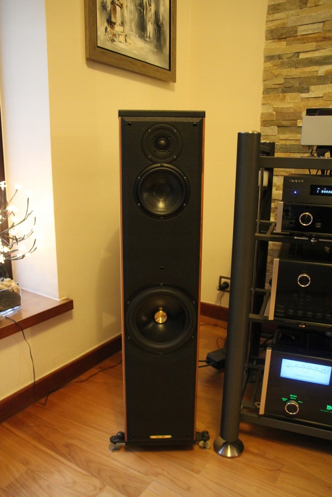 sonus faber liuto tower