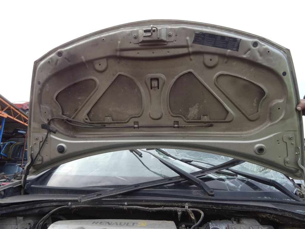 Renault Clio III 06 Capot TED11
