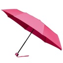 Небольшой и легкий складной женский зонт в голландском стиле.