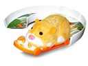 СКЕЙБОРД ZHU ZHU PETS HAMSTER С ГУСЕНИЦЕЙ