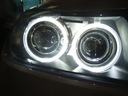 LAMPS EINPARTS AUTOMOTIVE EPM16 H8 240 IN 2 PC. photo 2 - milautoparts-fr.ukrlive.com