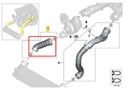 BMW F07 5GT 530D N57 TUYAU BUSE TURBO DE RADIATEUR photo 7 - milautoparts-fr.ukrlive.com