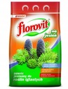 FLOROVIT NAWÓZ DO IGLAKÓW thui JESIENNY 3kg JESIEŃ
