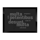Картинка Multa petentibus desunt multa 50x70 Овидий