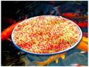 КОРМОВКА ДЛЯ КОРМОВ КОИ FOOD POND