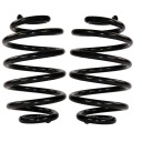 Рессоры подвески x2 ЗАДНИЕ RENAULT CLIO II THALIA 1998-