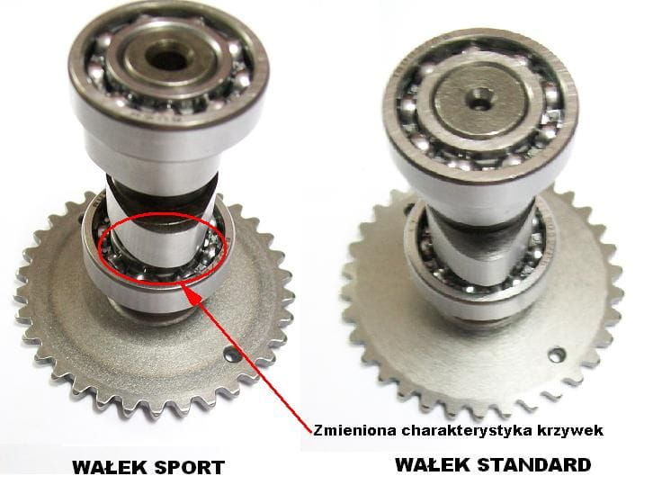 Cylinder +głowica 65cm3 chińskie 4T TAJWAN C020 6620107810