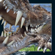 Pohľadnica 3D Krokodíl