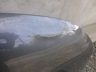 Capot CITROEN C4 DS4 2011