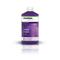 Plagron Sugar Royal - 100 ml