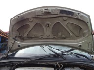 Renault Clio III 06 Capot TED11