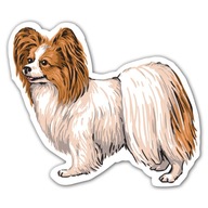 Наклейка papillon 15 cm на машина pies
