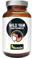 DIVOKÝ CHREN WILD YAM HANOJU FYTOESTROGÉNY 90 KP