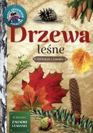 Młody Obserwator Przyrody. Drzewa leśne Małgorzata Wilamowska