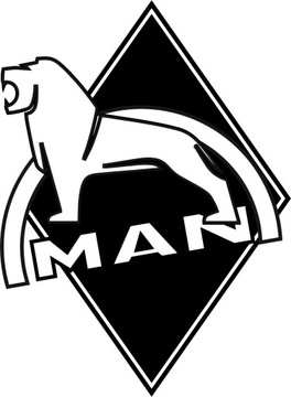 Наклейки на зеркала MAN TGX TGL TGA прочее