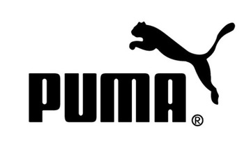 Мужские кроссовки PUMA WIRED RUN черные черные 44