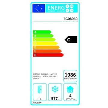 FORGAST МОРОЗИЛЬНЫЙ ШКАФ 580 Л FG08060