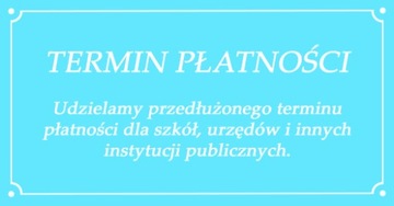 Уборщики для уборщиков отеля + шваблина 43 см