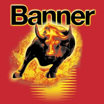 BANNER BIKE BULL B49-6 аккумулятор 6В/10Ач