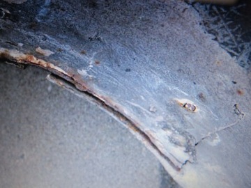 фото thumb №12, Бампер задняя накладка zender audi a3 8l 96-03