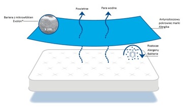 Матрас с антиклещевым чехлом 90x200x20 Evolon
