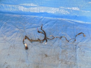 фото thumb №1, Master iii movano електропроводка двері правий перед