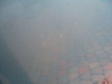 Focus mk1 98-04 капот перед крышка двигателя j8 Оригинал, фото thumb