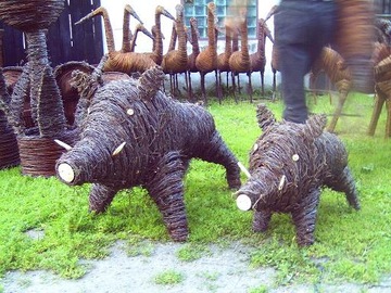 Unique birch wild boar!, фото
