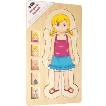 Wooden puzzle anatomy girls puzzle, фото