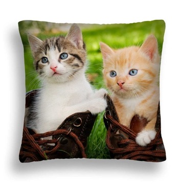 Minky great 50* 50 cushion cats 02 cats в butach, фото