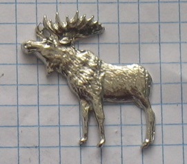 Pin hunting moose (4), фото