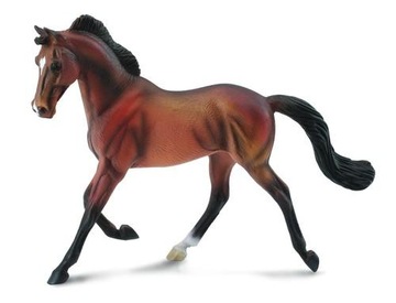 Klacz Thoroughbred maści bay 88477 COLLECTA