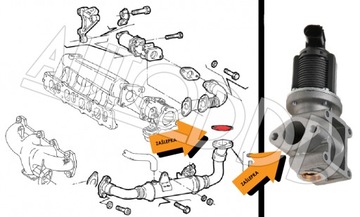 66 Заглушка EGR ALFA FIAT LANCIA 1.9 8V 2.4 10 JTD