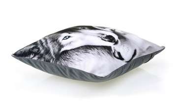 PODUSZKA WILK SAMIEC ALFA 10 PRZEWODNIK STADA LAS