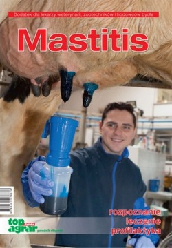 Mastitis u bydła rozpoznanie leczenie profilaktyka