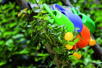 ЛЕЙКА САДОВАЯ, УНИВЕРСАЛЬНАЯ, ОПРЫСКИВАНИЕ, 1.8Л, ГОРОХ SIRE