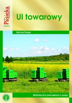 Ul towarowy (Michał Piątek)